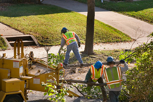 Best Lawn Drainage Solutions  in Palermo, CA